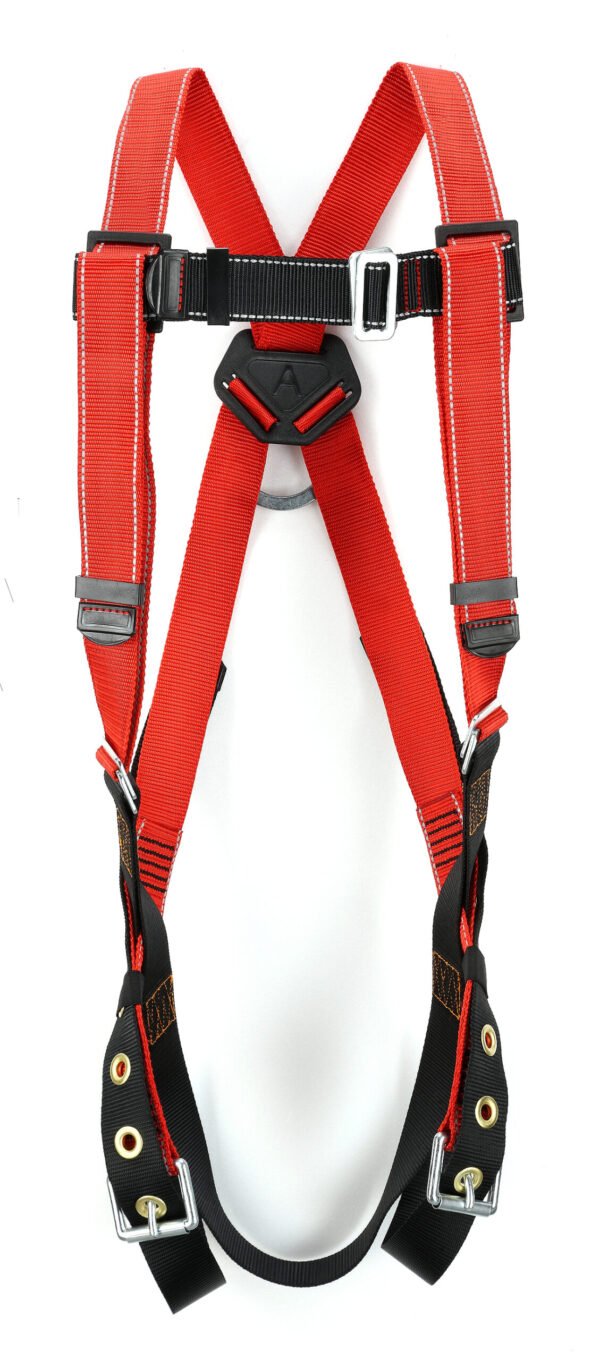 Full Body Harness - Image 2